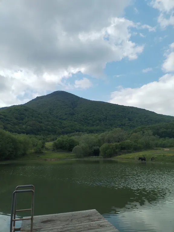 Коттедж Уютные домики — Геленджик