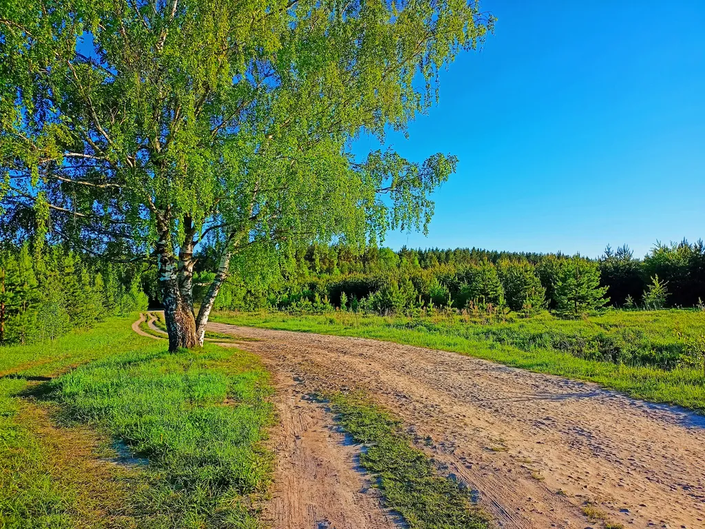 Стильный дом рядом с лесом