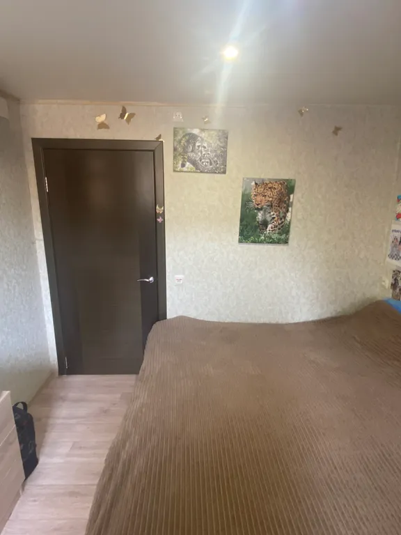 Квартира Комфортная, уютная комната — Сириус