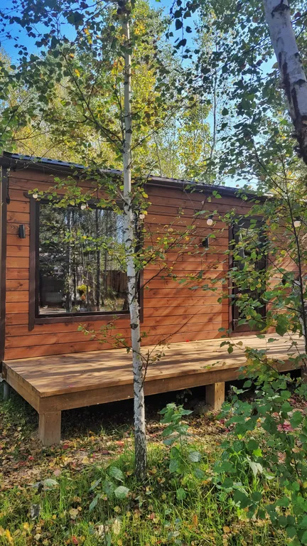 Лесной домик