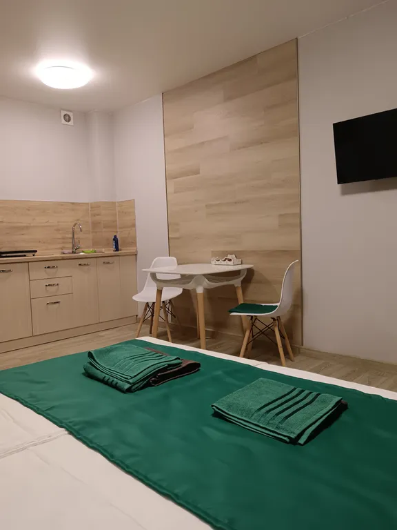 Уютная квартира-студия в микрорайоне Солнечный