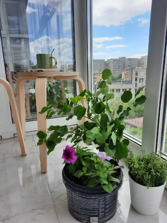 3-х комнатная квартира у ЖД