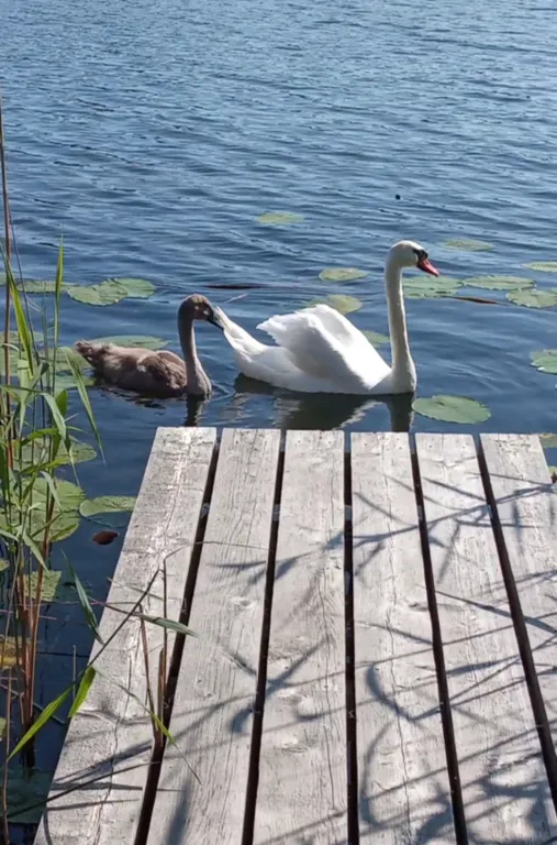 Домик у самого озера