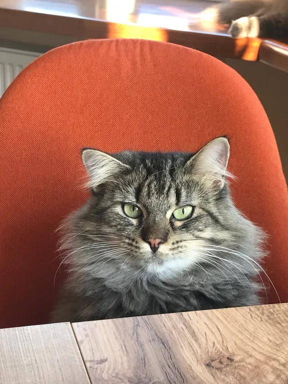 Квартира Весь второй этаж двухуровневой квартиры — Зеленоградск