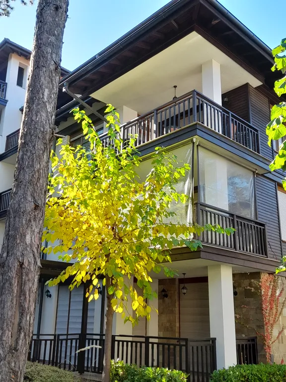 Трехкомнатный люкс в соснах у моря в Санта Марина