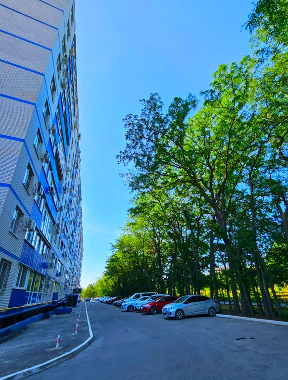 Видовая квартира с видом на парк 300-летия