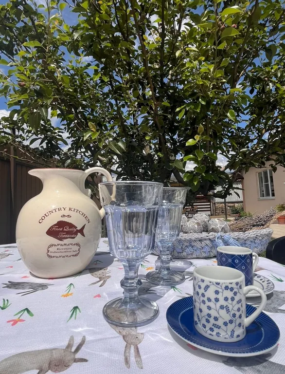 Новый уютный домик с дизайном