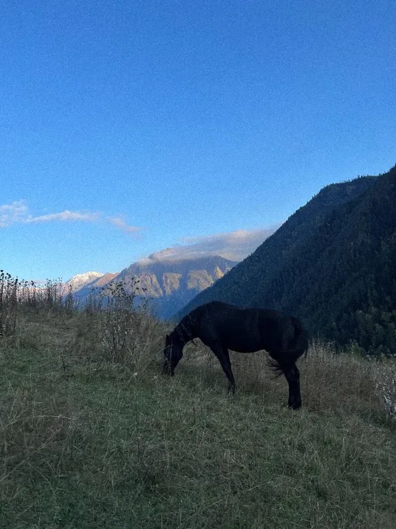 Уютный жилой дом в горах
