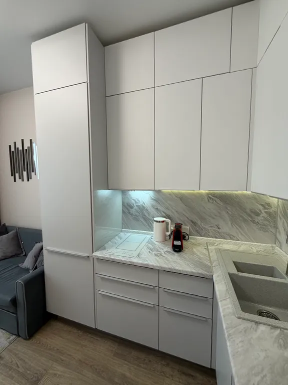 Современная новая квартира в Сколково, у Мещерского парка