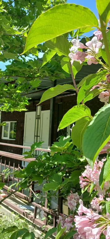 Дача Светлана