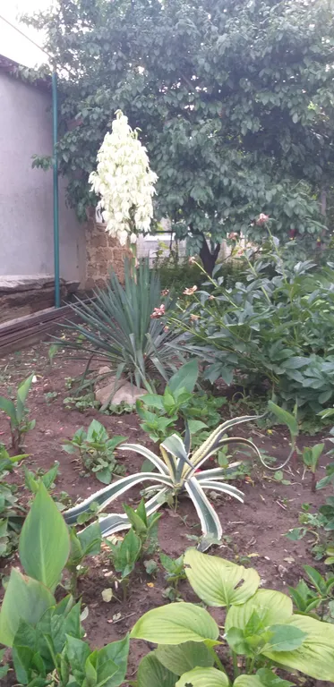 Уютный тихий дворик для желающих отдохнуть от шума городских улиц