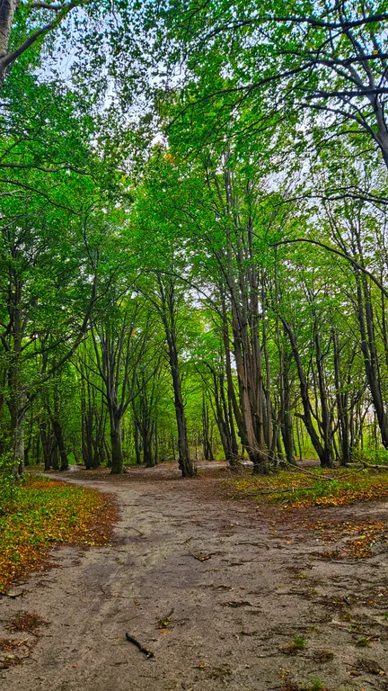 Барнс дача у моря