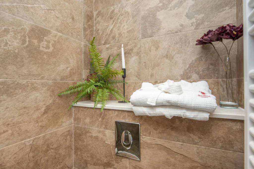 Fountain Vista Luxury Residence in Alliance Palace