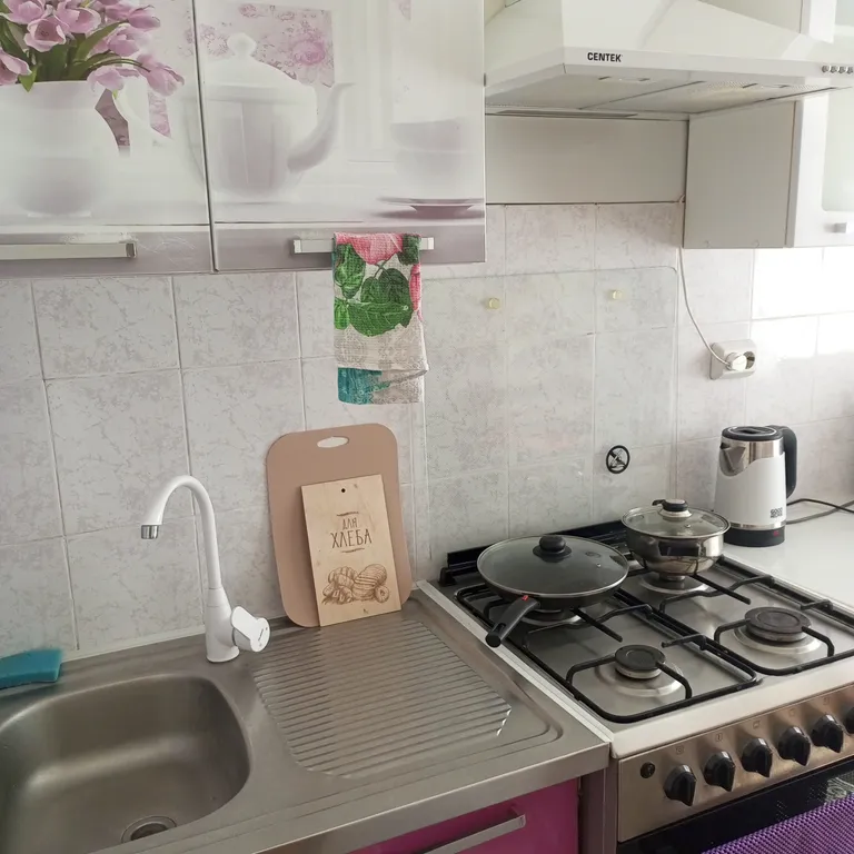 Уютная квартира в центре города с ремонтом