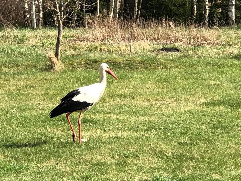 Усадьба Трабутишки у Голубых озёр