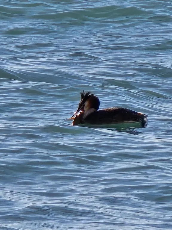 Апартамент с собственным пляжем