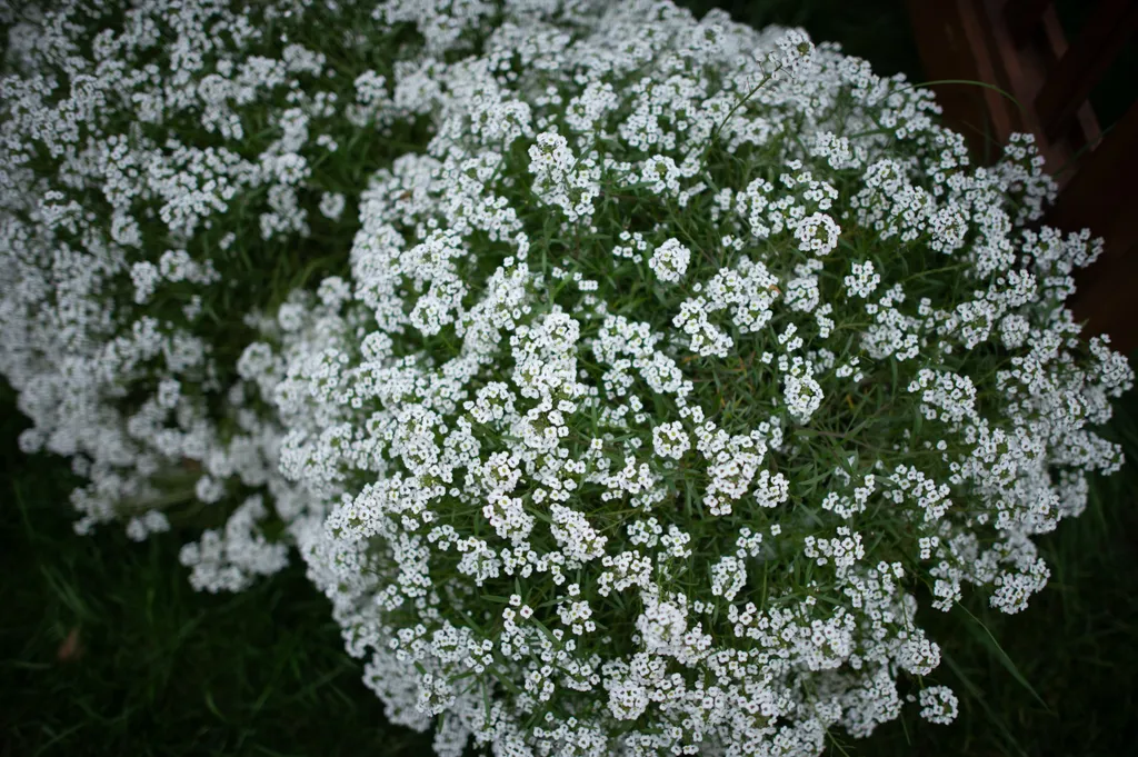 Дом с видом на реку