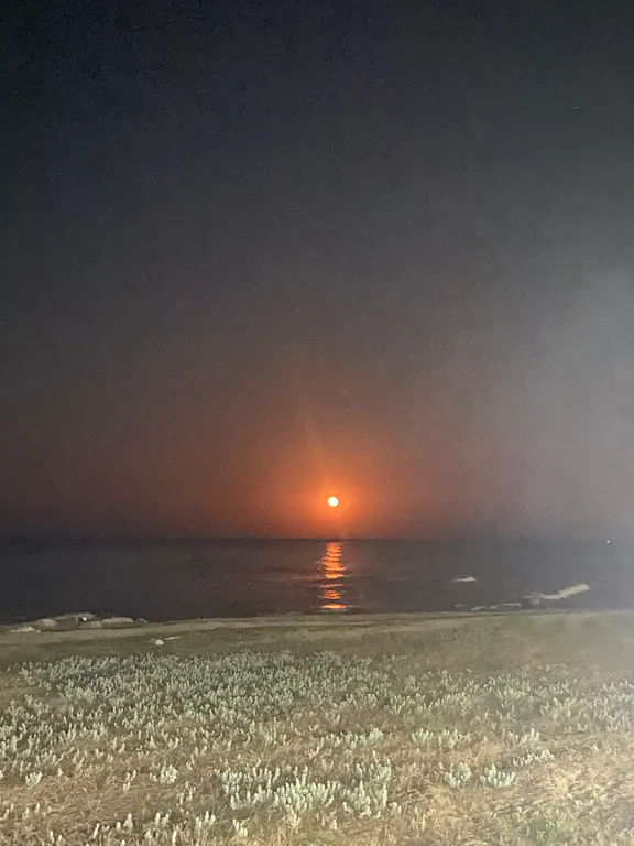 Дом на берегу Каспийского моря