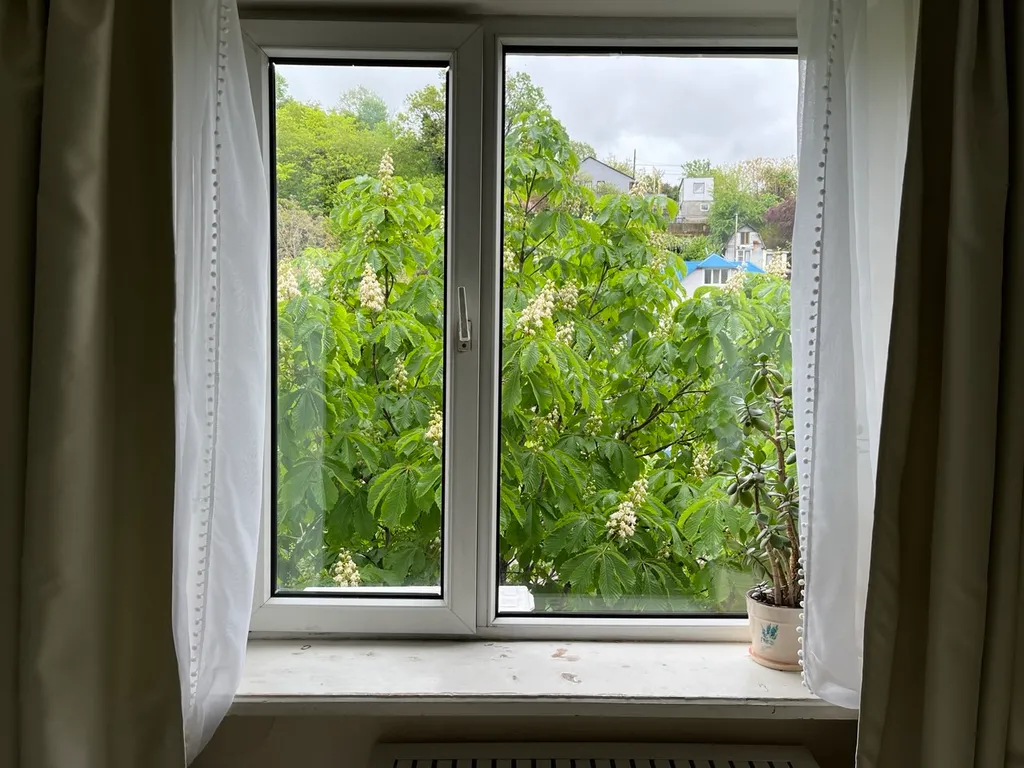 Квартира в зеленом, тихом районе, в 5 минутах от центра города