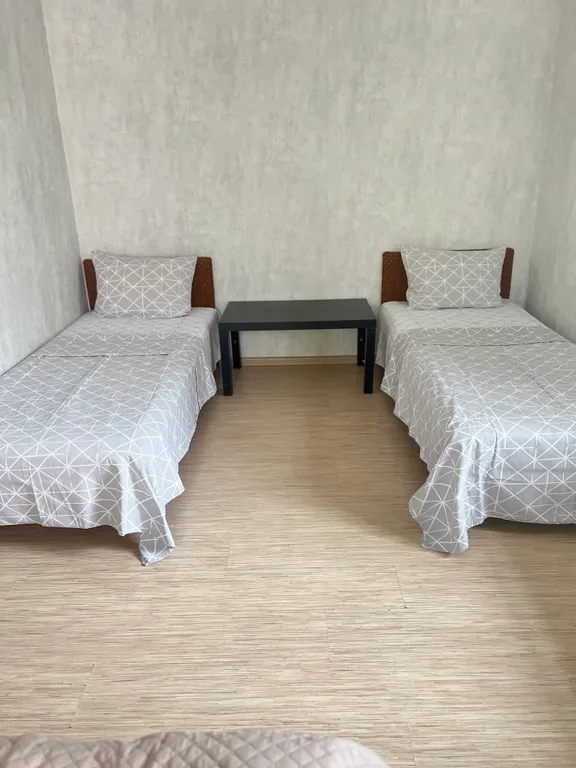 Квартира 1-комнатная Квартира — Пушкин