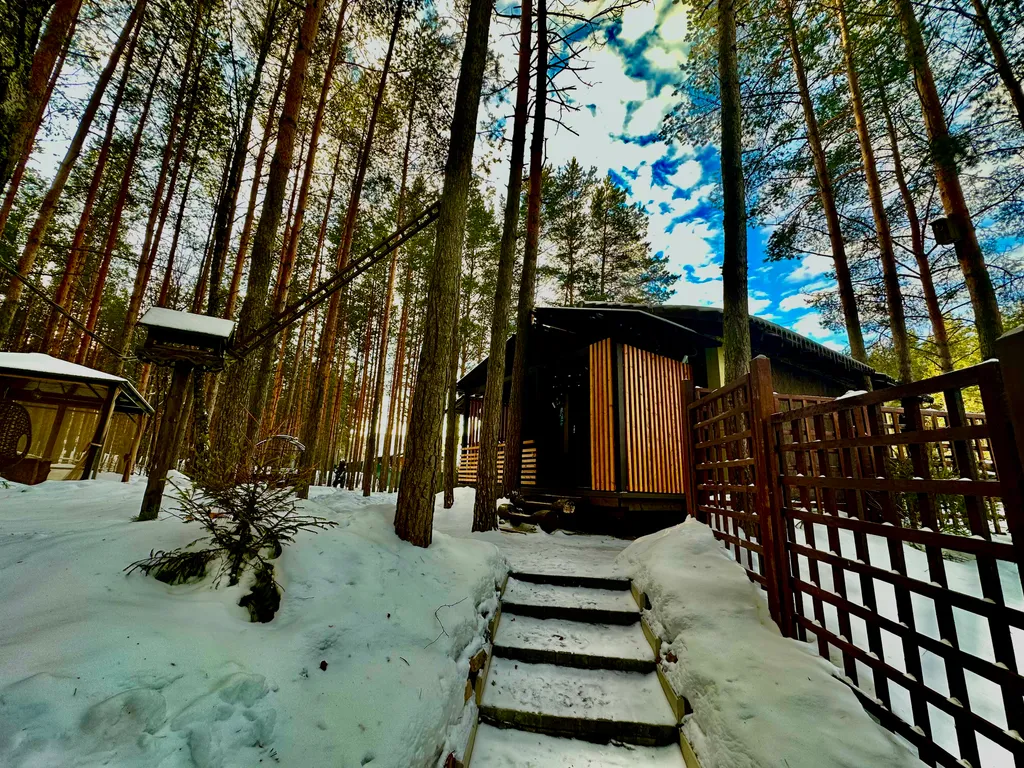 Шале в сосновом бору