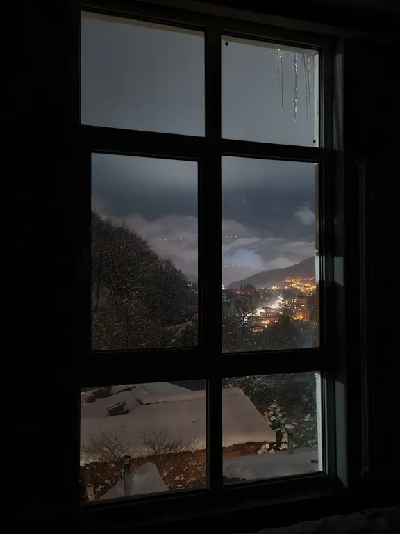 Апартаменты видом на Лауру