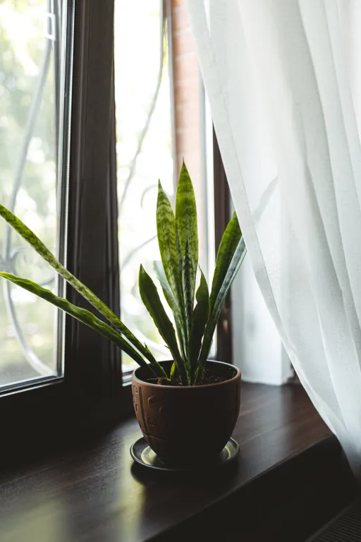 Сердце Владикавказа