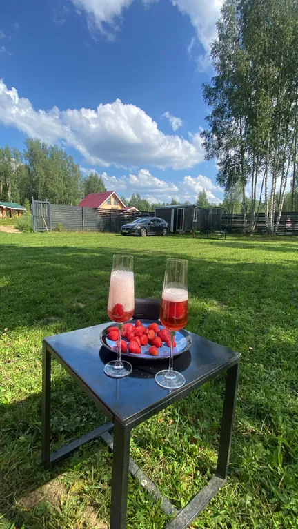 Домик в березах с баней