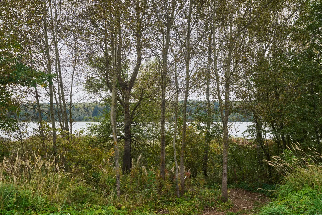 Панорамный дом у озера Сенеж рядом с банным комплексом