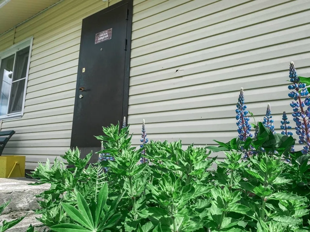 4-комнатный Дом