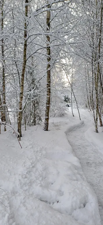 Коттедж Дом (С) с сауной и видом на лес — Воскресенское