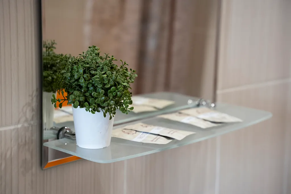 Зеленая студия