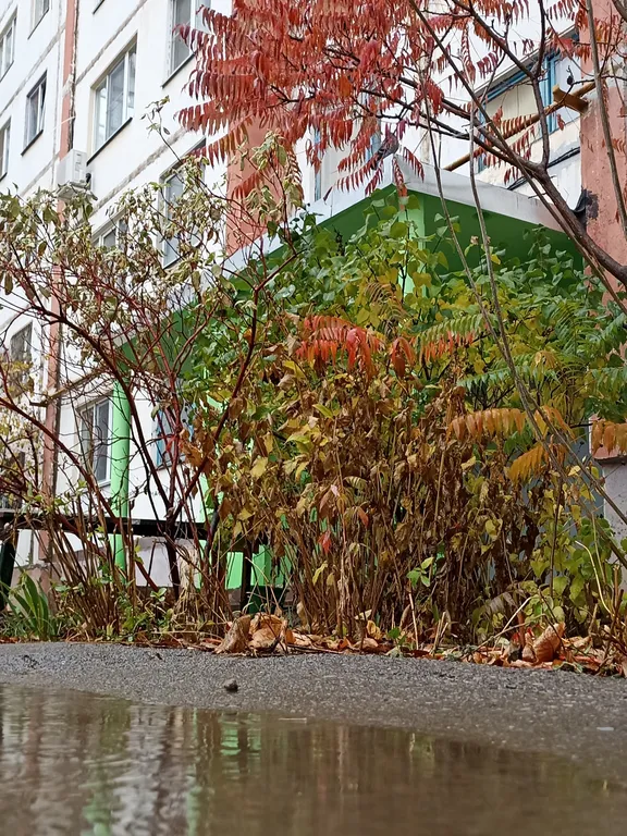 Апартамент в новом центре города