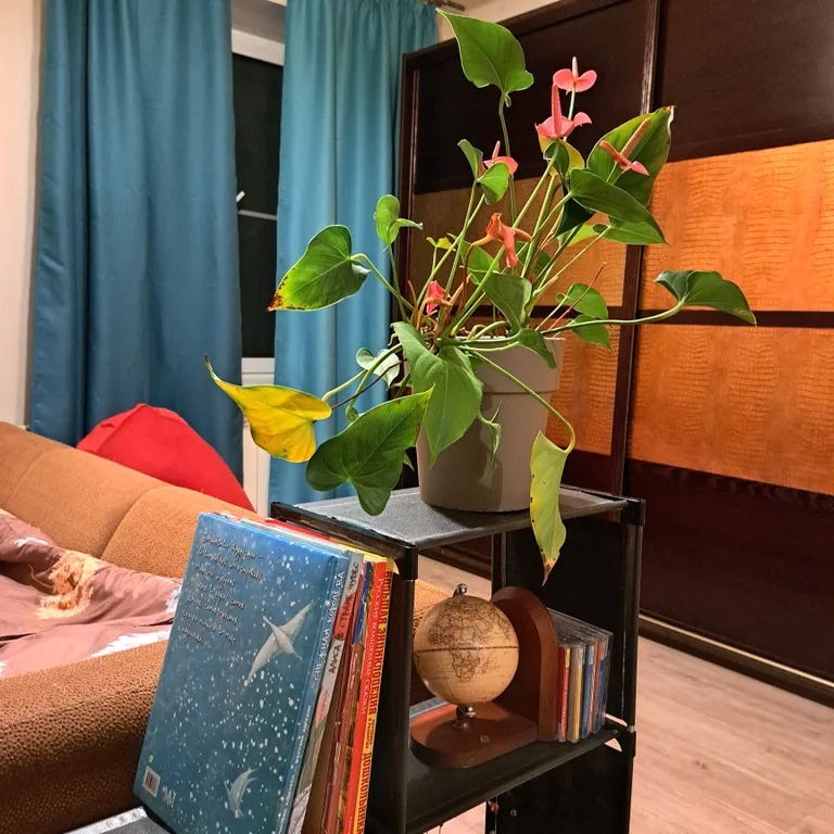 Уютная квартира — аренда посуточно в Сертолово