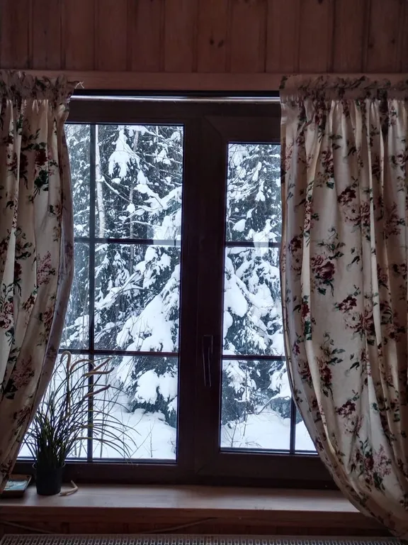 Коттедж Уютный домик в лесу — Агалатово