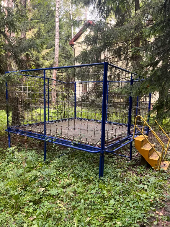 Усадьба в хвойном лесу