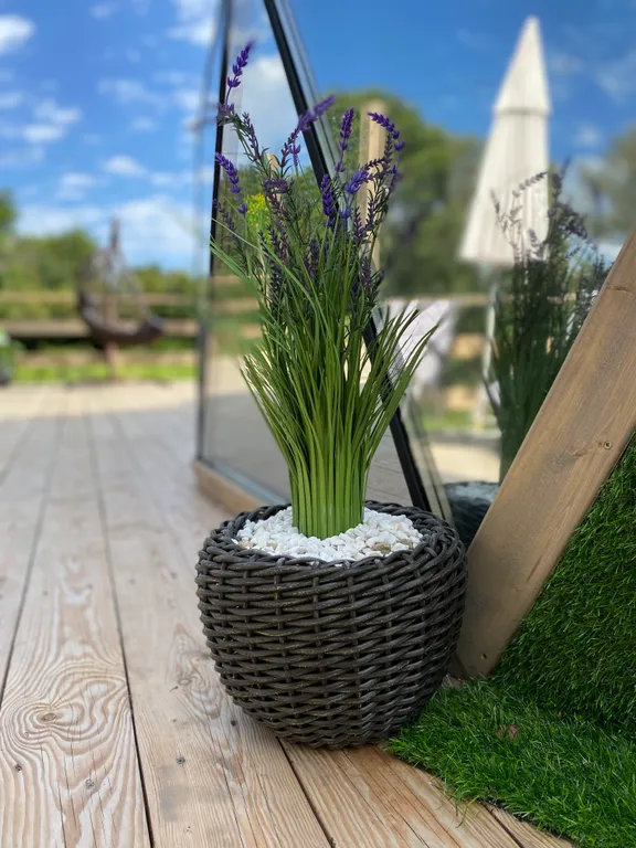 Уютная сфера на побережье