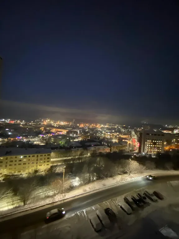 1-комнатная видовая квартира недалёко от центра города