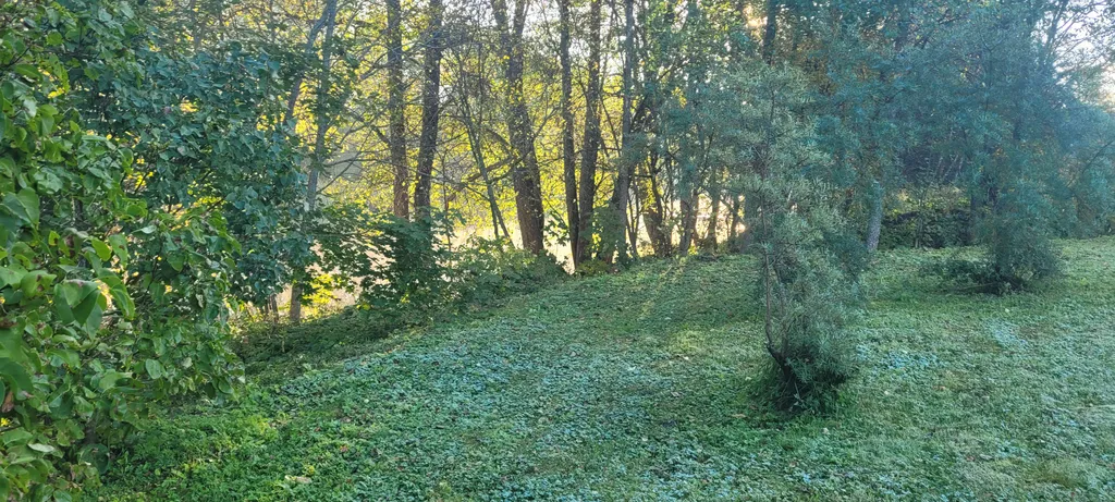 Уютный домик с сауной у реки