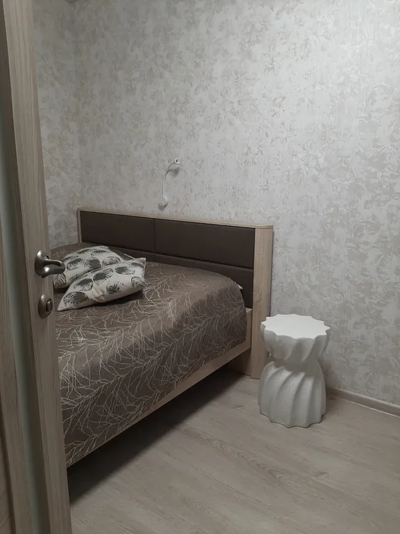 Двухкомнатная квартира, возможен заезд 4х гостей.