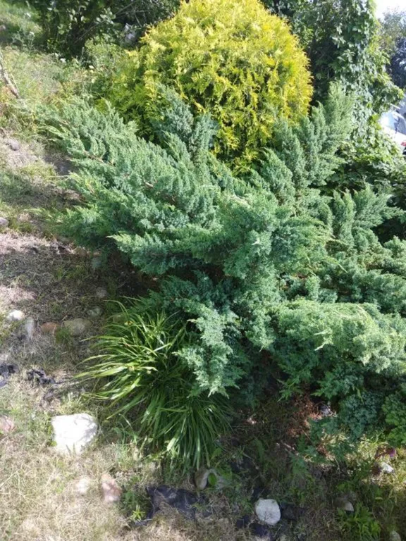 "Домик у моря" - 3 комн квартира