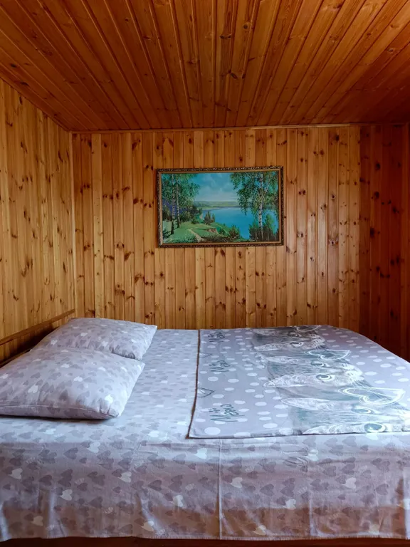 Дом коттедж в черте города