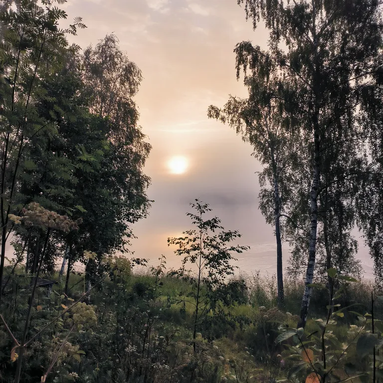 Дом на берегу озера с видом на лес