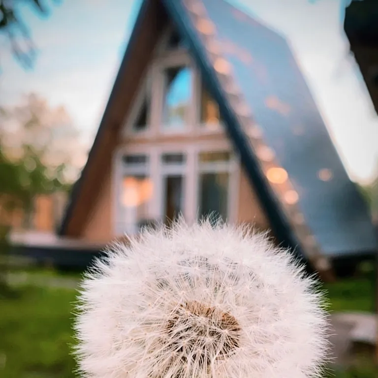 Коттедж Дом-Шалаш в 25 минутах от города — Красное Село