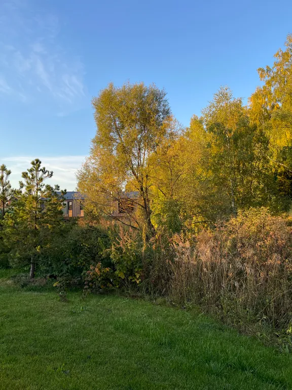 Дача в лесу с панорамными окнами