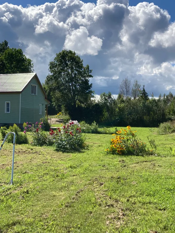 Гостевой дом у леса