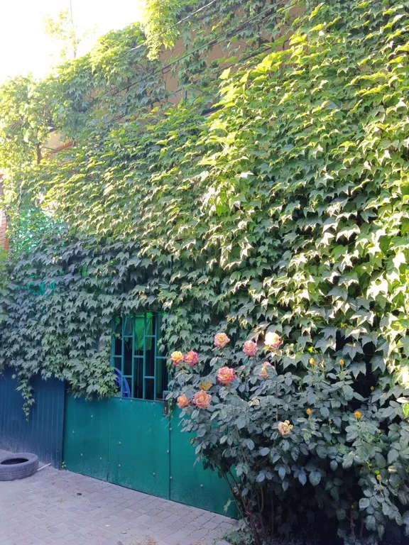 Номер на 1 этаже домика у моря