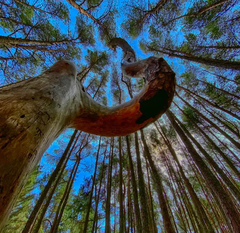 Квартира у моря