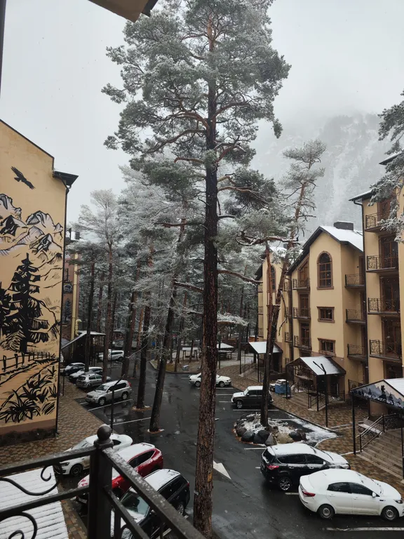 Уютная квартира в сосновом лесу в сердце гор