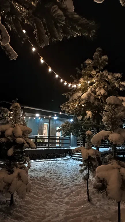 Уютный домик в сосновом лесу